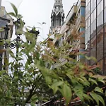 酒店 Longoria Plaza By Pandora